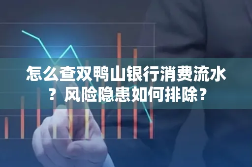 怎么查双鸭山银行消费流水？风险隐患如何排除？