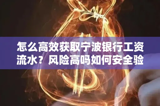 怎么高效获取宁波银行工资流水？风险高吗如何安全验证？