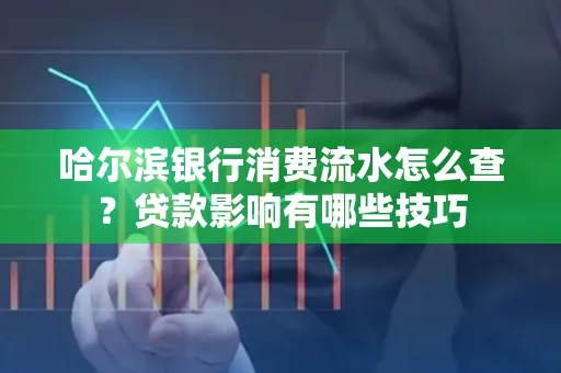 哈尔滨银行消费流水怎么查？贷款影响有哪些技巧