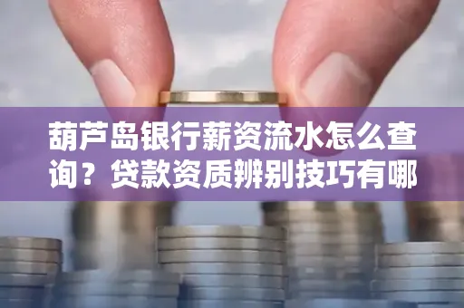 葫芦岛银行薪资流水怎么查询？贷款资质辨别技巧有哪些？
