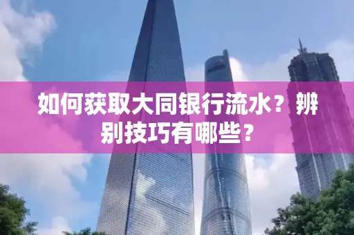 如何获取大同银行流水？辨别技巧有哪些？